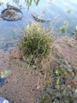 20150926_180949.jpg 20150926_180949.jpg