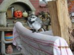 Marco IMG_8457.JPG