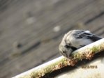Marco IMG_8479.JPG