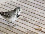 Marco IMG_8546.JPG
