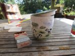 Tasse IMG_5572.JPG