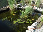 Teich 1.jpg Teich 1.jpg