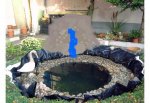 teich6.JPG