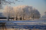IMG_9179.JPG