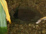 100_0069.JPG 100_0069.JPG