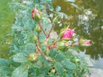 DSCN0847.JPG