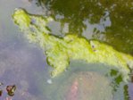 20151024_104723.jpg