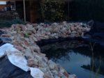 IMG-20151029-WA0001.jpeg