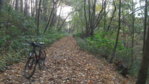 DSCF2613.JPG