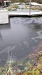 20151128_110435.jpg
