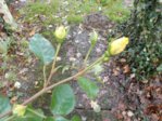 DSCN0911.JPG