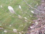 DSCN0009.JPG DSCN0009.JPG