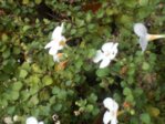 DSCN0014.JPG DSCN0014.JPG