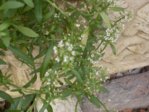 DSCN0015.JPG DSCN0015.JPG