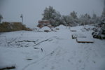 Teichbau 2 0058.JPG