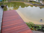DSCF1436.JPG