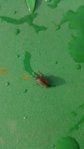 20160208_145102.jpg