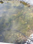 20160306_152715.jpg