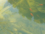 DSCN0361.JPG