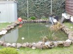DSC01325.jpg
