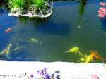 IMG_1569.JPG