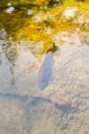 _DSC5818.jpg