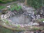 IMG_9923.JPG