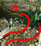 2016-04-11_16.10.55_resized.jpg 2016-04-11_16.10.55_resized.jpg