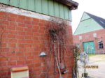 Amselnest IMG_1696.JPG