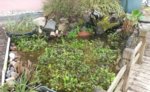 20160417_113358.jpg 20160417_113358.jpg