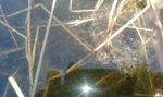 20160420_163743.jpg 20160420_163743.jpg