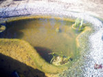 2016.04.20-163714.jpg