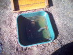 2016.04.20-163814.jpg