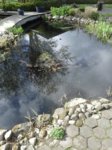 IMG-20160422-WA0001.jpg IMG-20160422-WA0001.jpg