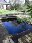 IMG-20160422-WA0003.jpg IMG-20160422-WA0003.jpg