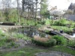 IMG-20160422-WA0005.jpg IMG-20160422-WA0005.jpg