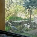 20160424_142113-1.jpg
