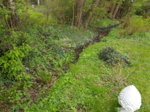 20160423_113238.jpg 20160423_113238.jpg