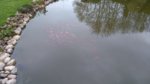 DSC_0012.JPG DSC_0012.JPG