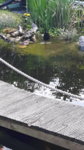 20160503_134429.jpg