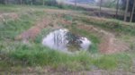 20160427_183059.jpg 20160427_183059.jpg
