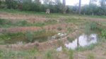 20160427_183125.jpg 20160427_183125.jpg