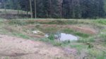 20160427_183225.jpg 20160427_183225.jpg