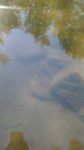 IMG_20160504_100454.jpg