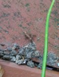 DSC_0009.JPG DSC_0009.JPG