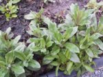 20160422_180257.jpg 20160422_180257.jpg