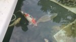 20160509_192028.jpg