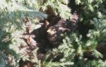 20160506_091837.jpg 20160506_091837.jpg