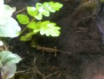 20160506_164521-1.jpg 20160506_164521-1.jpg