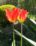 20160505_113415.jpg 20160505_113415.jpg